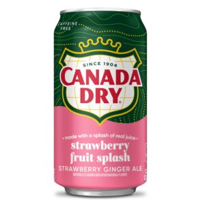 Canada Dry Strawberry Fruit Splash Ginger Ale Soda 12 x 355ml